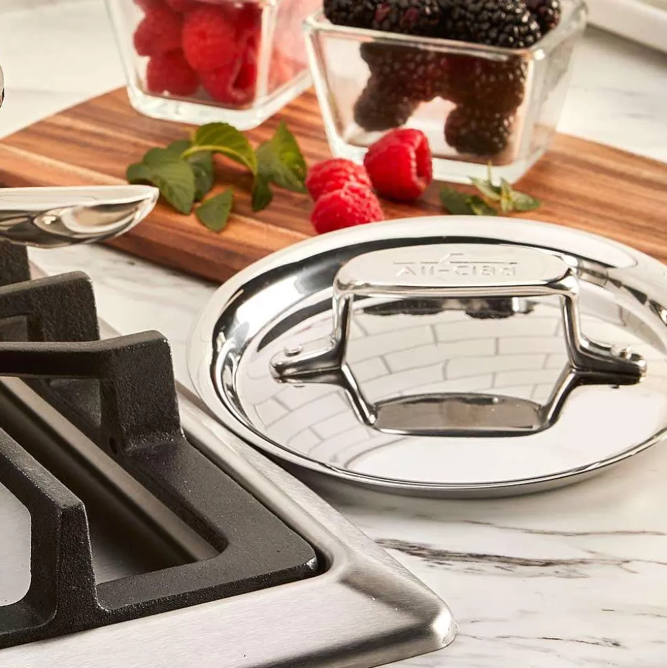 All-Clad Fry Pans & Skillets<D5 Stainless Polished 5-Ply Bonded Cookware, Deep Fryer Set With Lid And Basket, 6 Quart