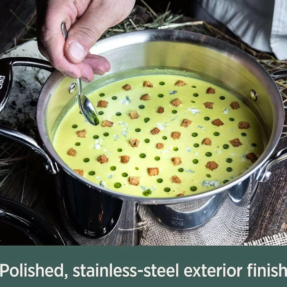 All-Clad Soups & Stockpots<D5 Stainless Polished 5-Ply Bonded Cookware, Steamer Set, 3 Quart