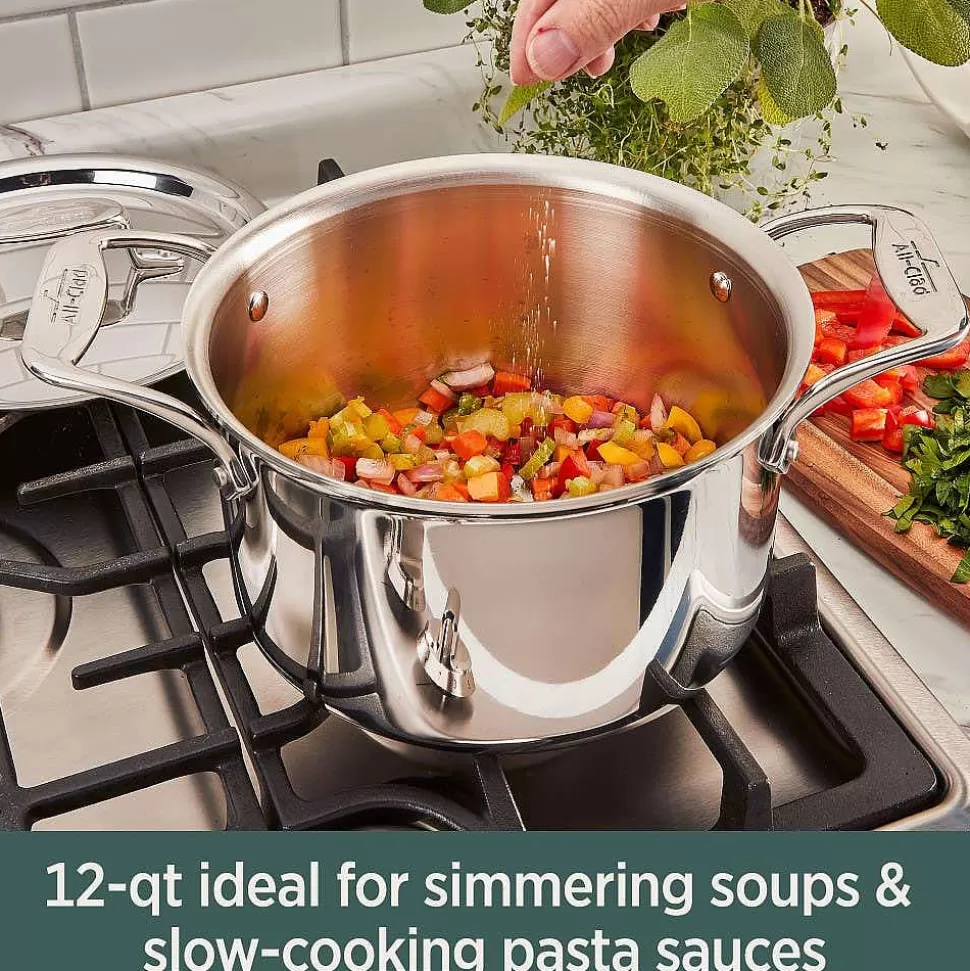 All-Clad Soups & Stockpots<D5 Stainless Polished 5-Ply Bonded Cookware, Stockpot With Lid, 12 Quart