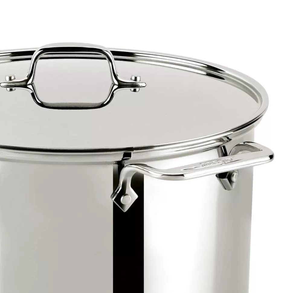 All-Clad Specialty Cookware<Gourmet Accessories, Stainless Steel Multi-Pot With Lid, Perforated Insert And Steaming Insert, 8 Quart